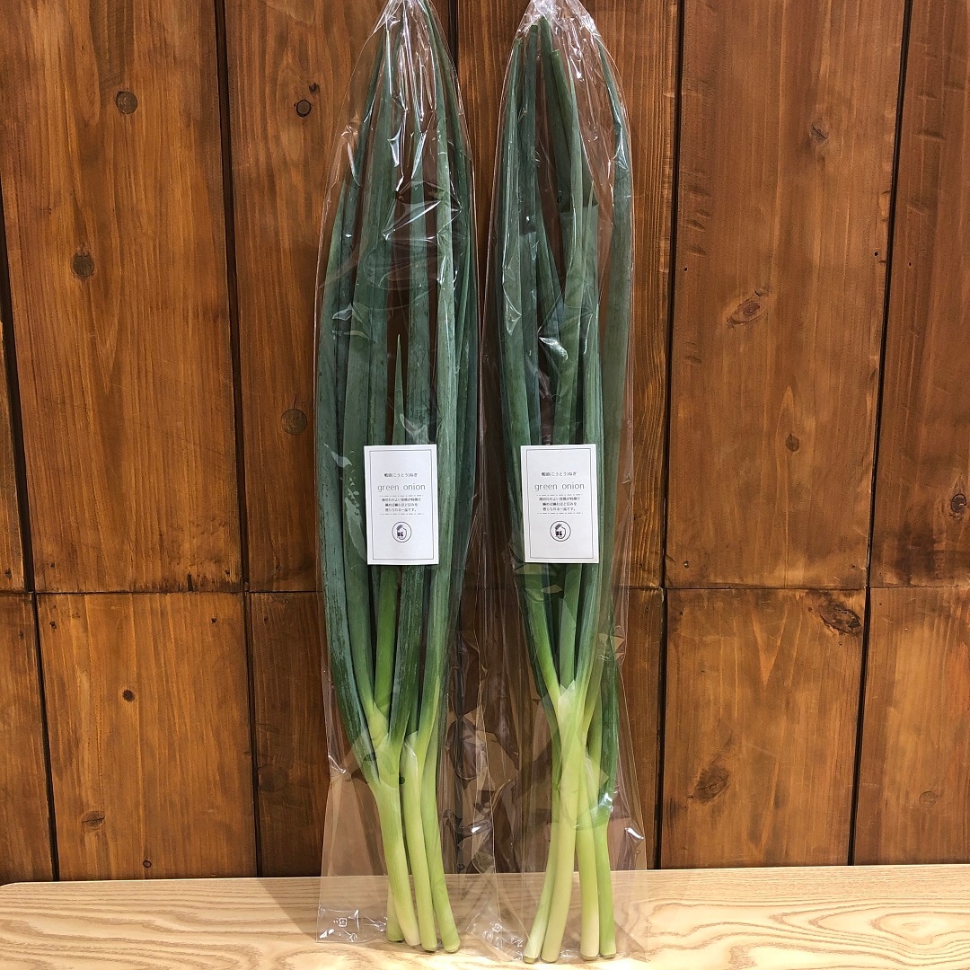 【イオンモール岡山】岡山県産の新鮮野菜、本日入荷しました