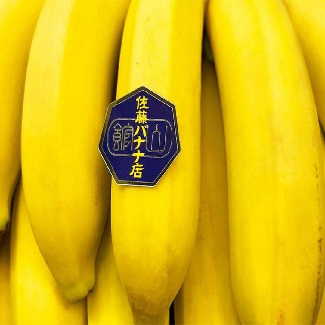 【銀座】7周年祭