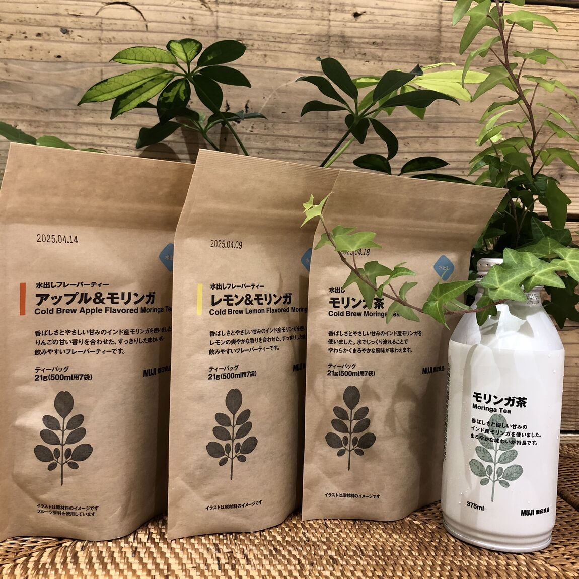 【富山マルート】新商品　モリンガ茶