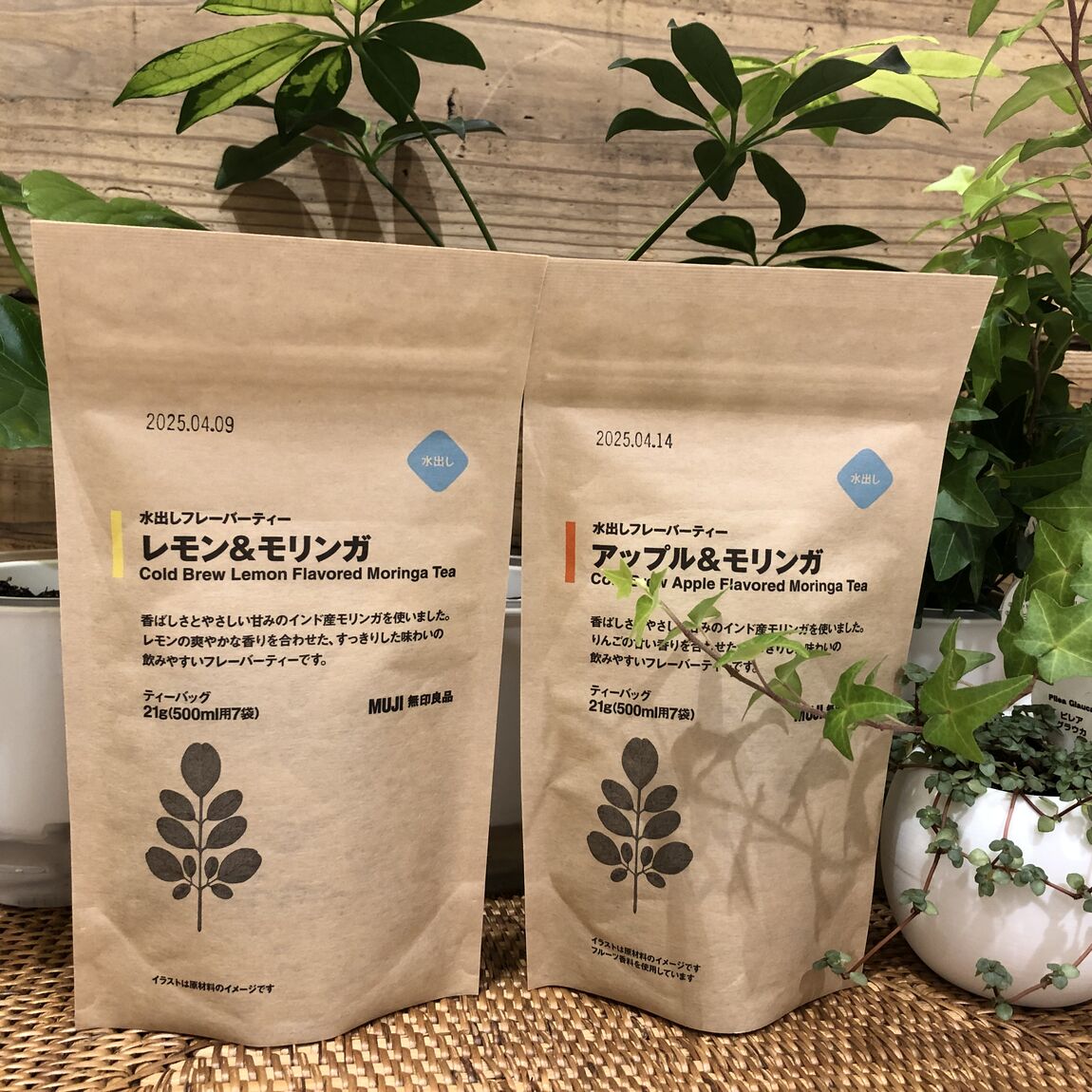 【富山マルート】新商品　モリンガ茶