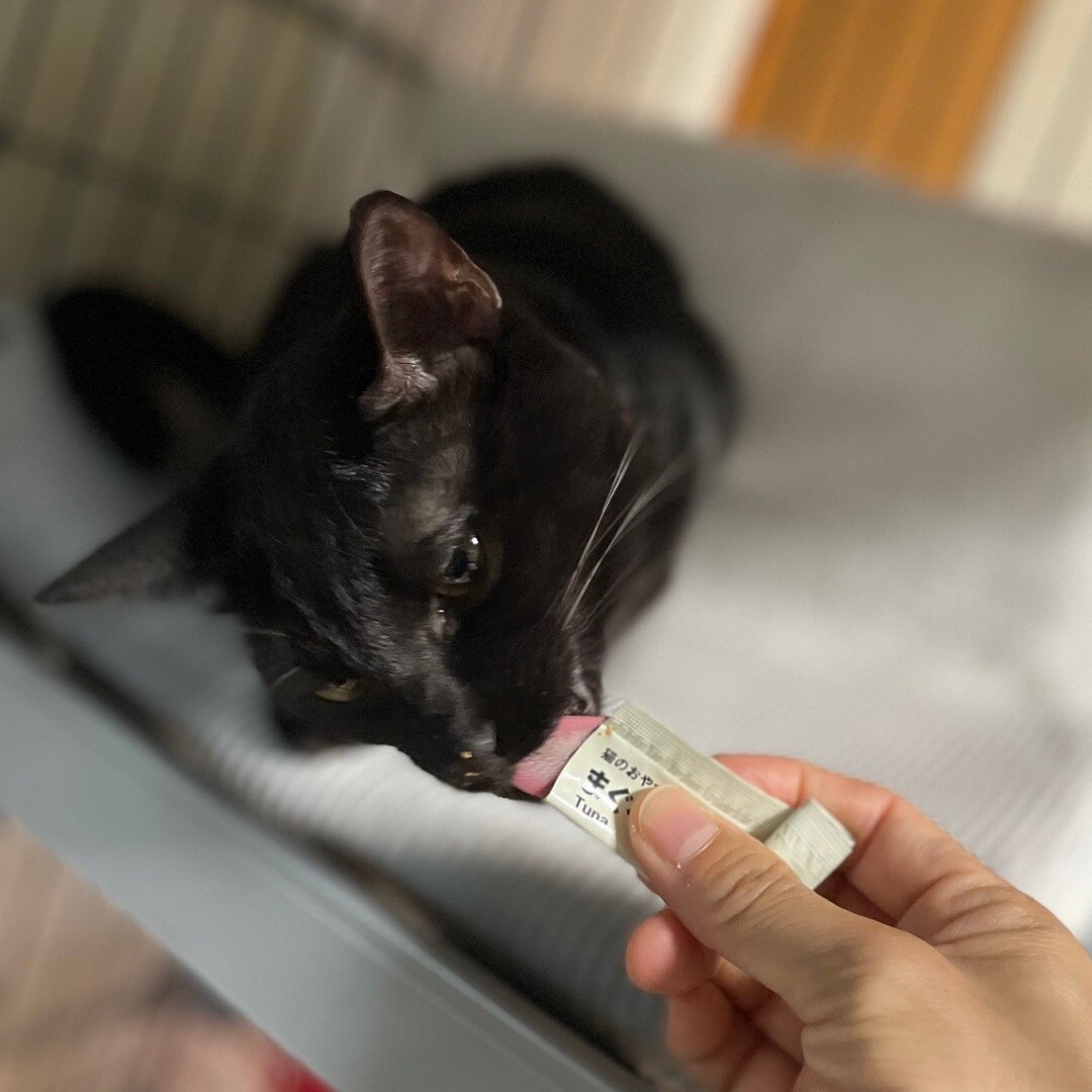 https://contents.muji.com/jp/sites/jp/files/20241211-004.jpg