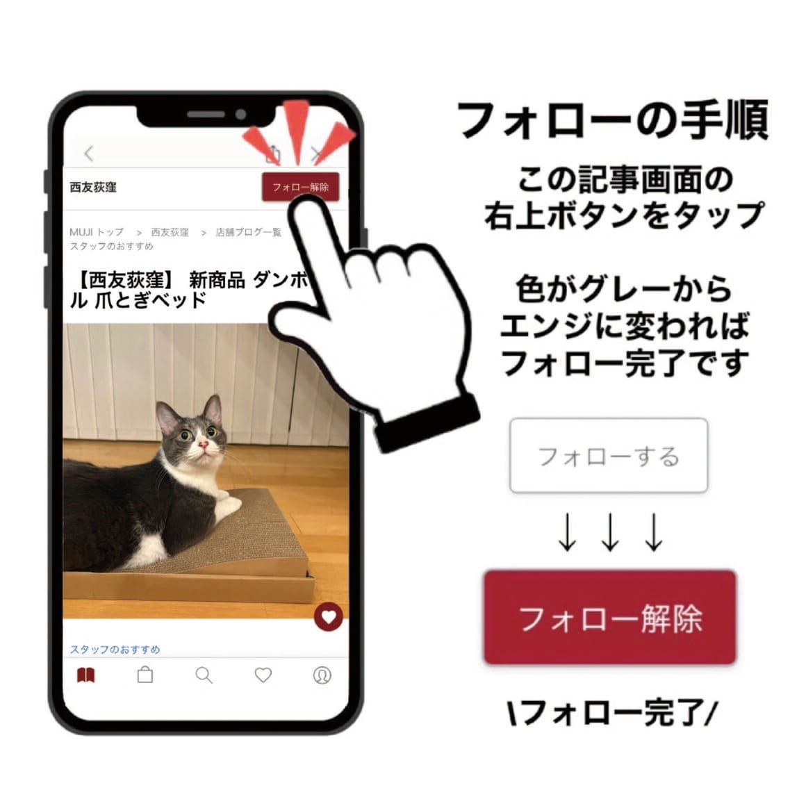フォロー手順