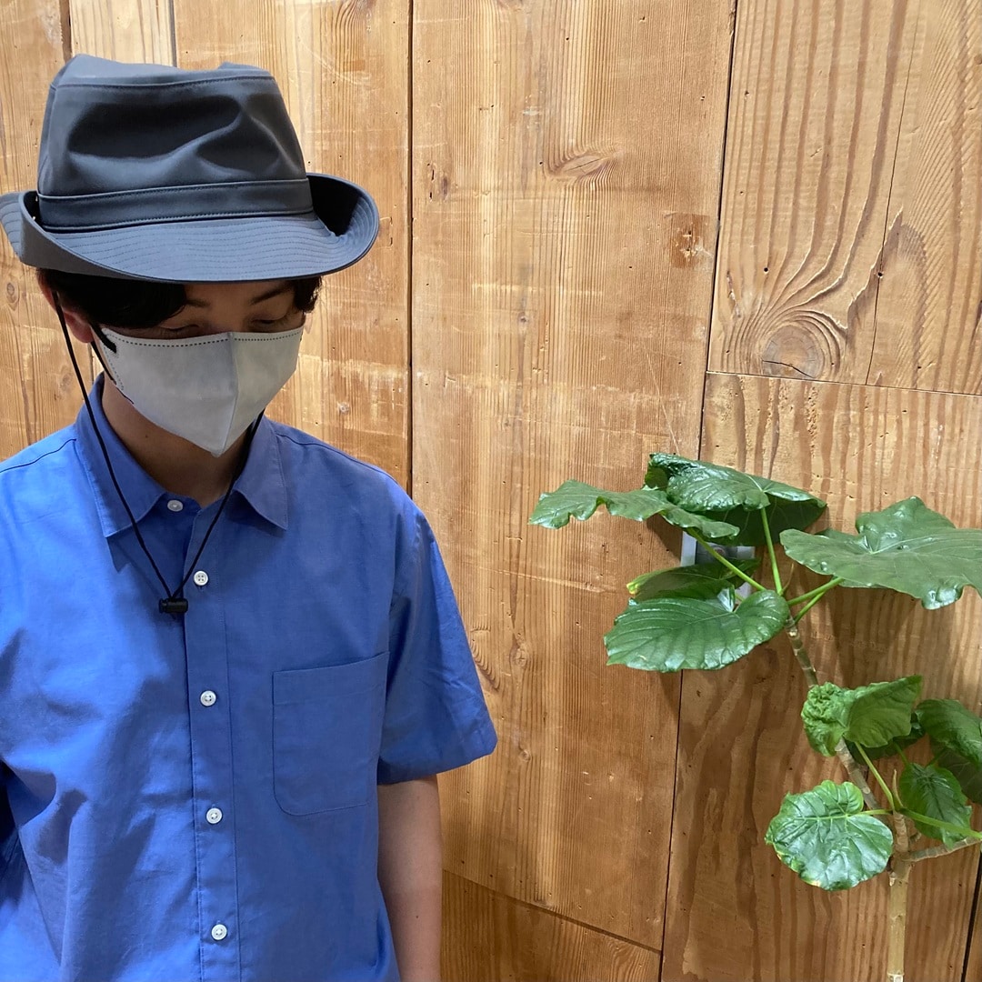 草と人