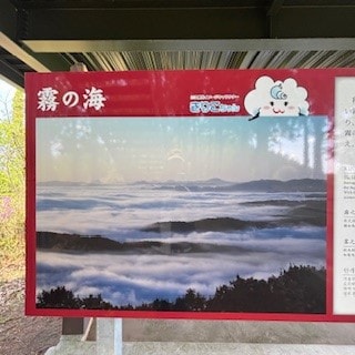 霧のうみ