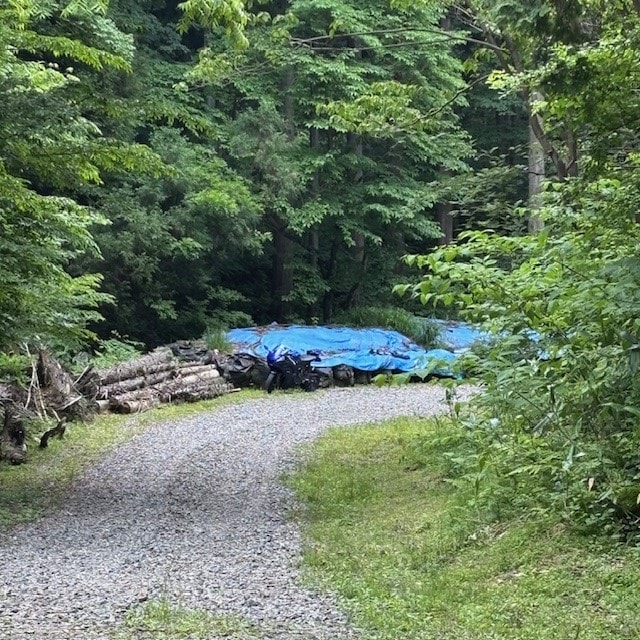 20250610_008.jpg １