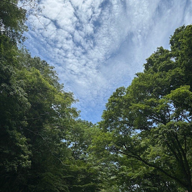 20250610_037.jpg １