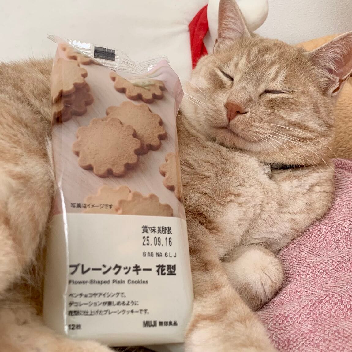 にこにこ