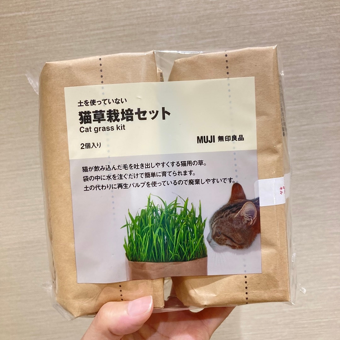 【イオンモール広島府中】我が家も猫草デビュー
