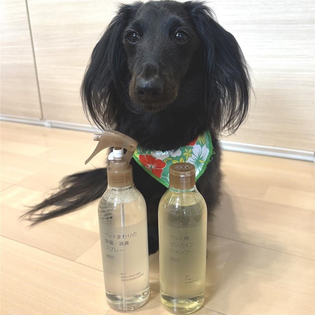 ペットまわりの除菌・消臭スプレーとペット用リンスインシャンプーと犬の写真です。