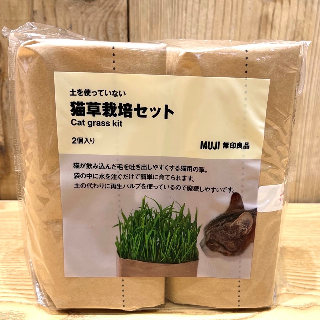 猫草栽培セットの写真です。