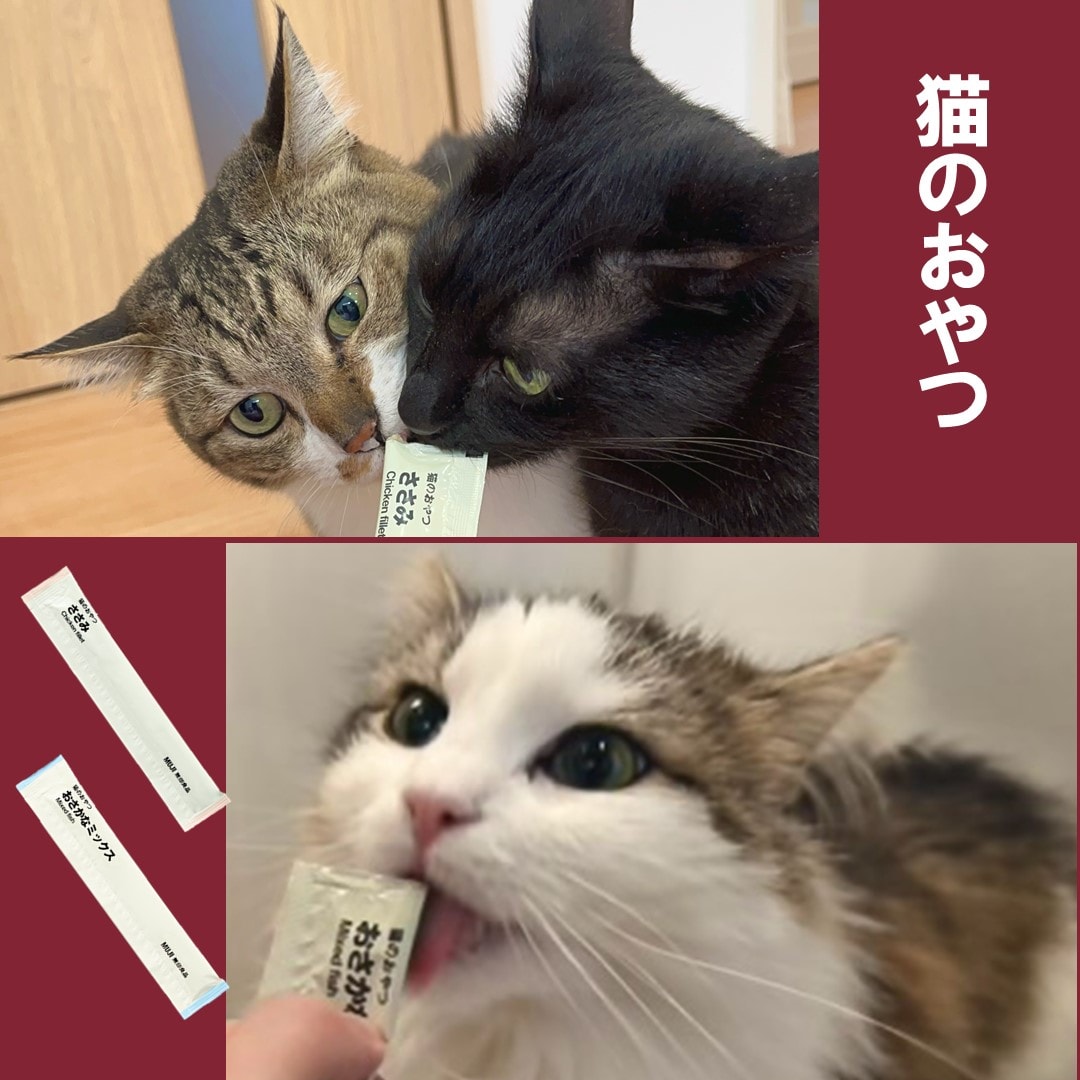 猫のおやつを食べる猫たちの写真です。