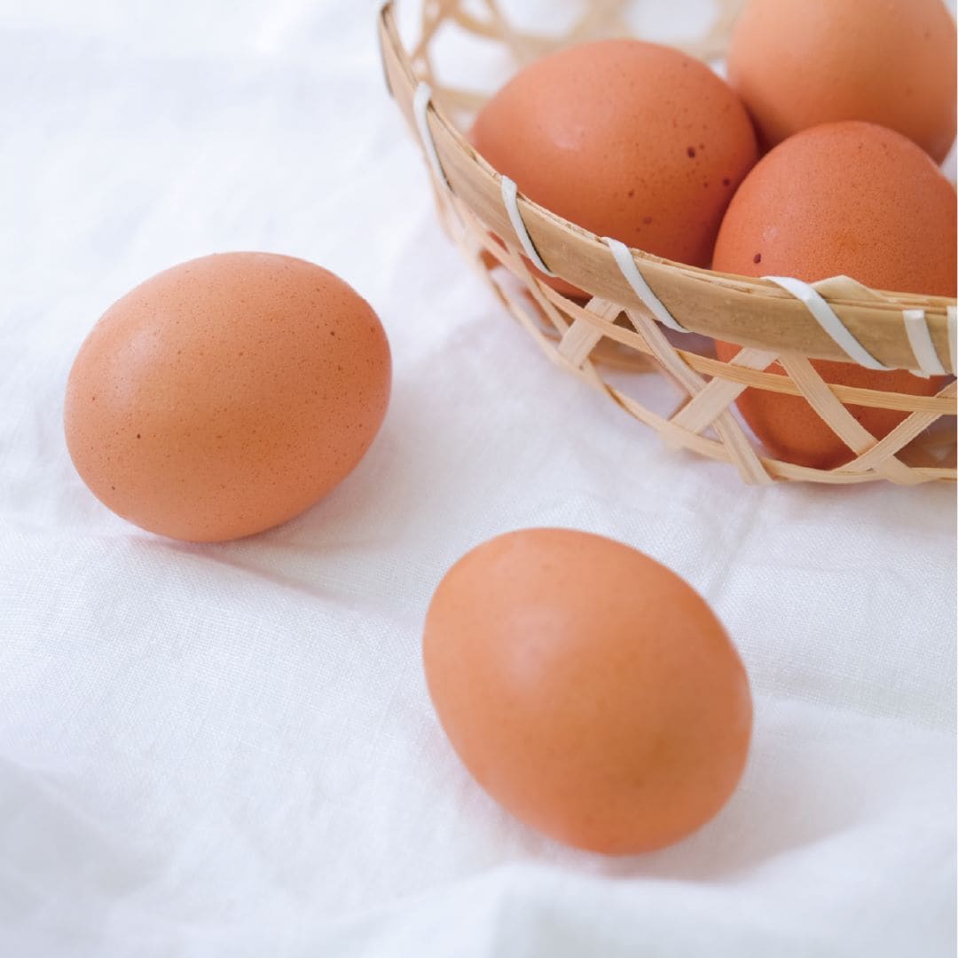 【堺北花田】お肉のすべて大奉仕