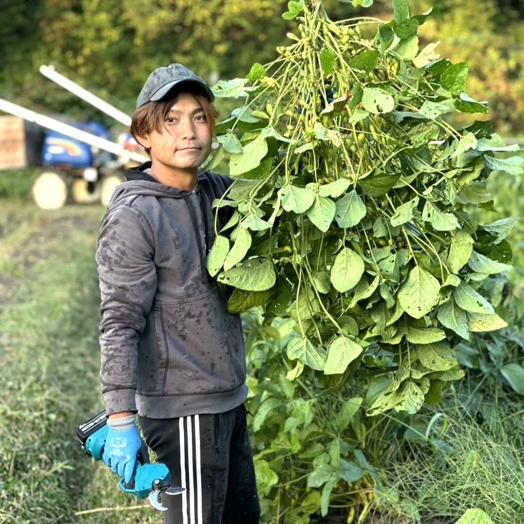 【堺北花田】ONE BEANSさんの丹波篠山黒枝豆が入荷しています｜青果売場から_GK6Ng1