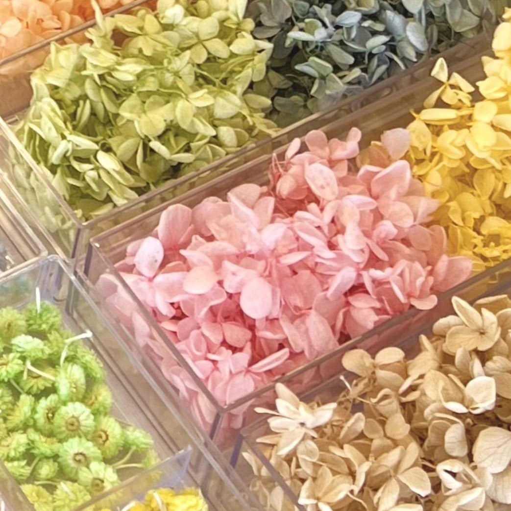 【ヨークタウン郡山桑野】2/8(日)ワークショップ・販売会のお知らせ