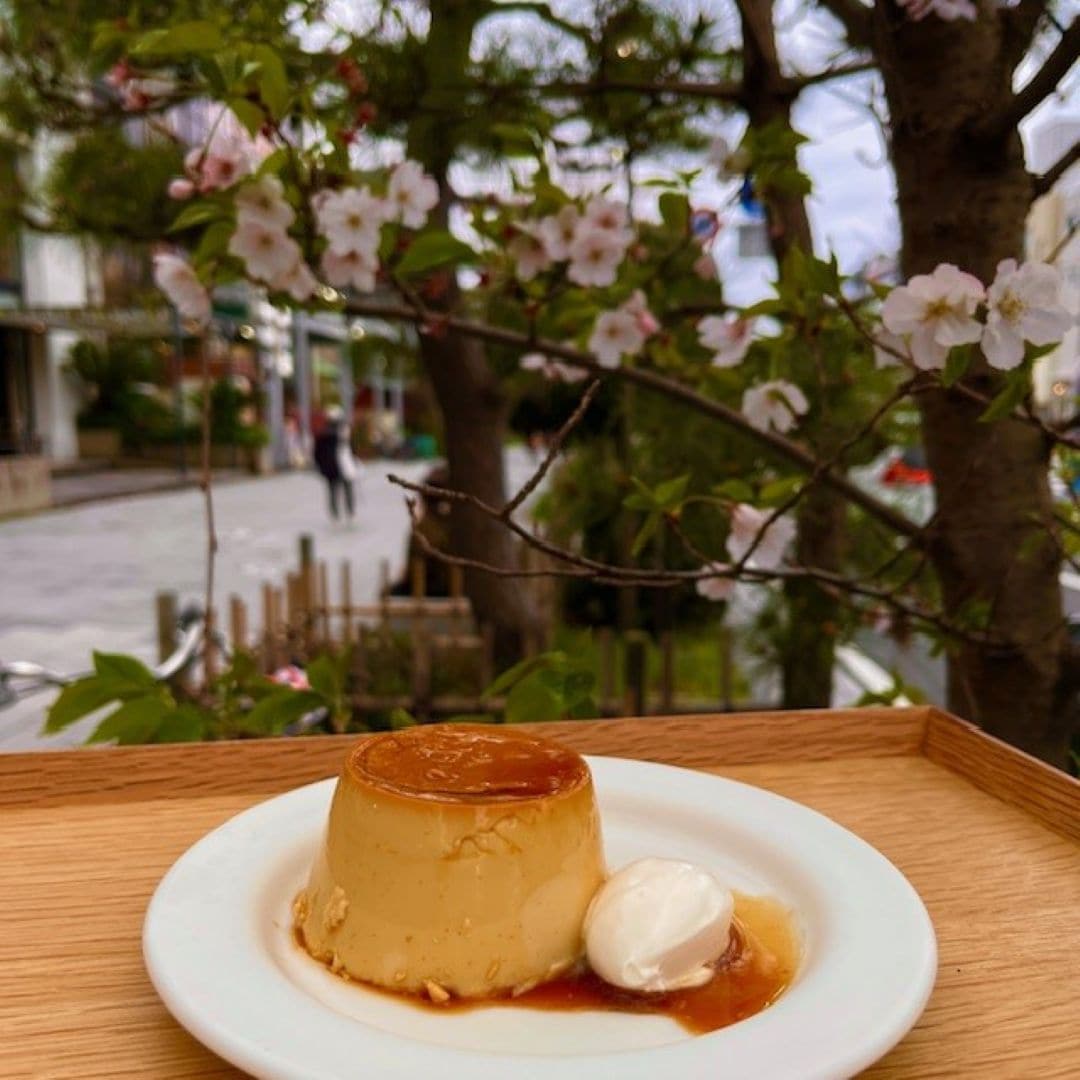 【Café＆Meal MUJI 鎌倉】桜と本和香糖の焼きプリン