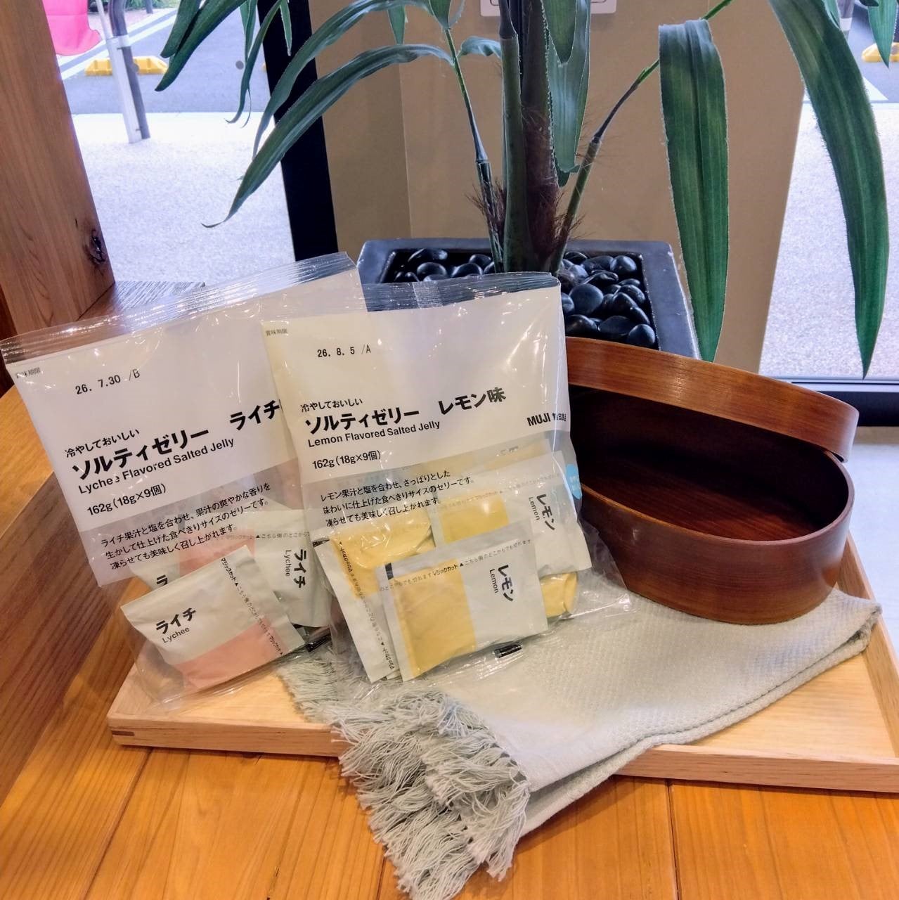 ソルティゼリーとお弁当