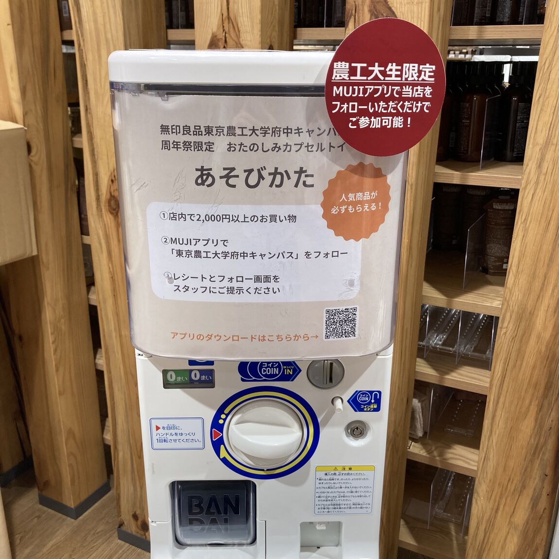 お楽しみガチャ