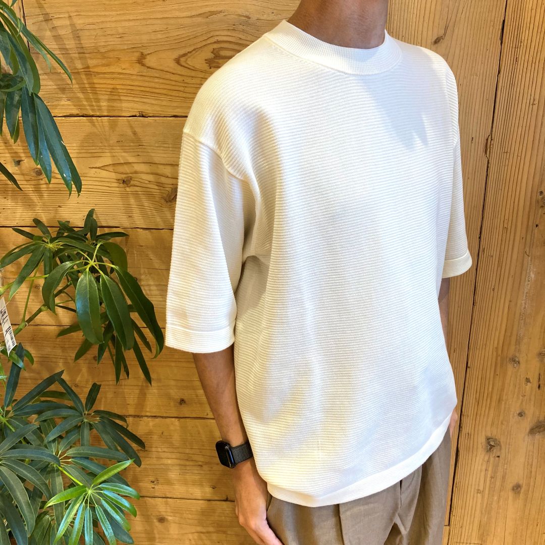 【イオンタウン松阪船江】　身長163cm_0WIjSn