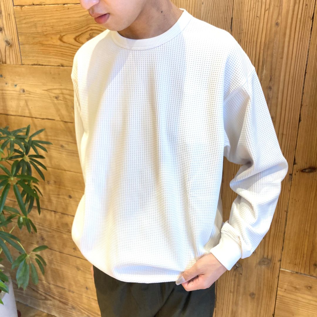 【イオンタウン松阪船江】　身長163cm_0cAHzz