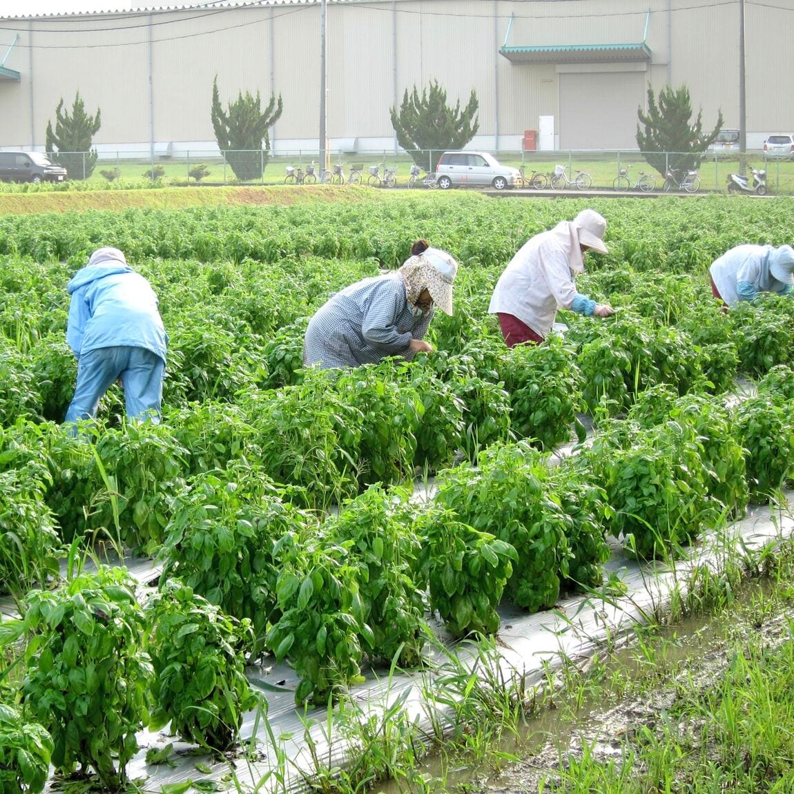 【ブルメール舞多聞】