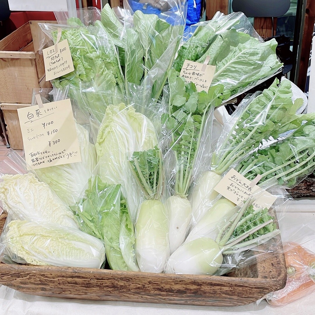 白菜たち