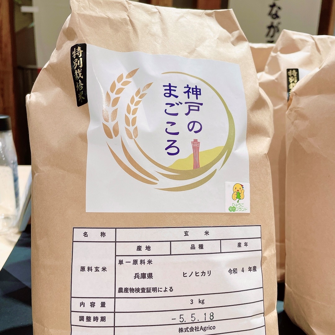 ヒノヒカリ