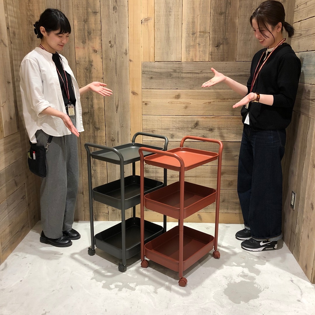 スタッフが紹介している画像