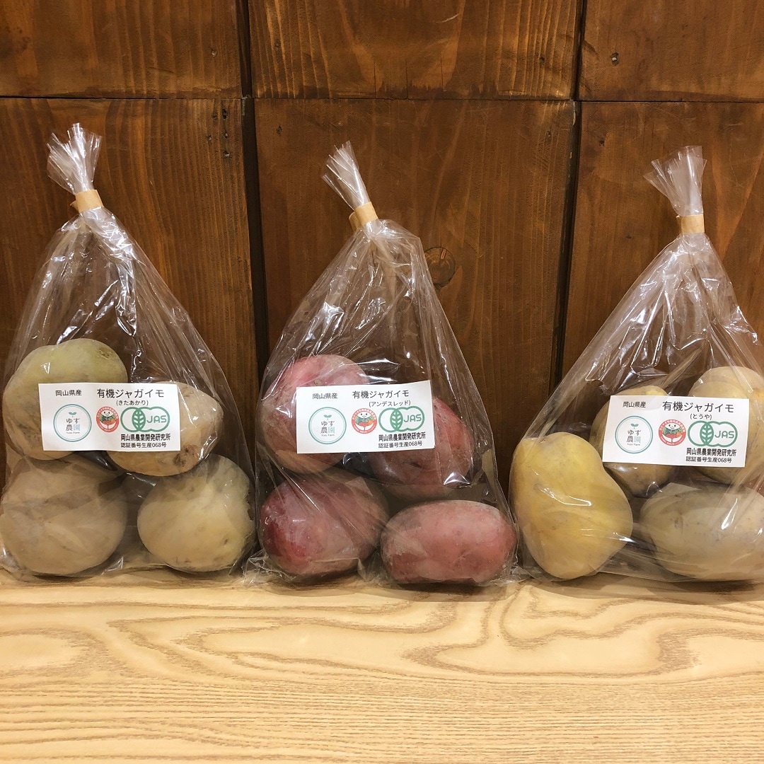【イオンモール岡山】岡山県産の新鮮野菜、本日入荷しました