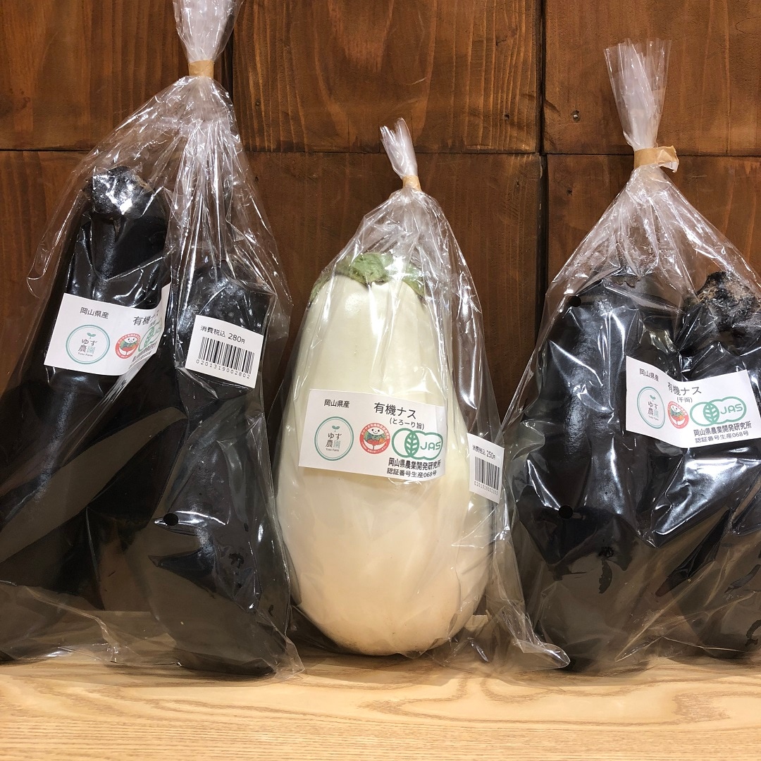 【イオンモール岡山】岡山県産の新鮮野菜、本日入荷しました