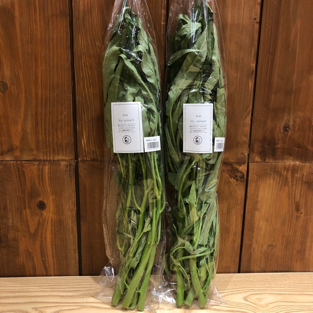 【イオンモール岡山】岡山県産の新鮮野菜、本日入荷しました