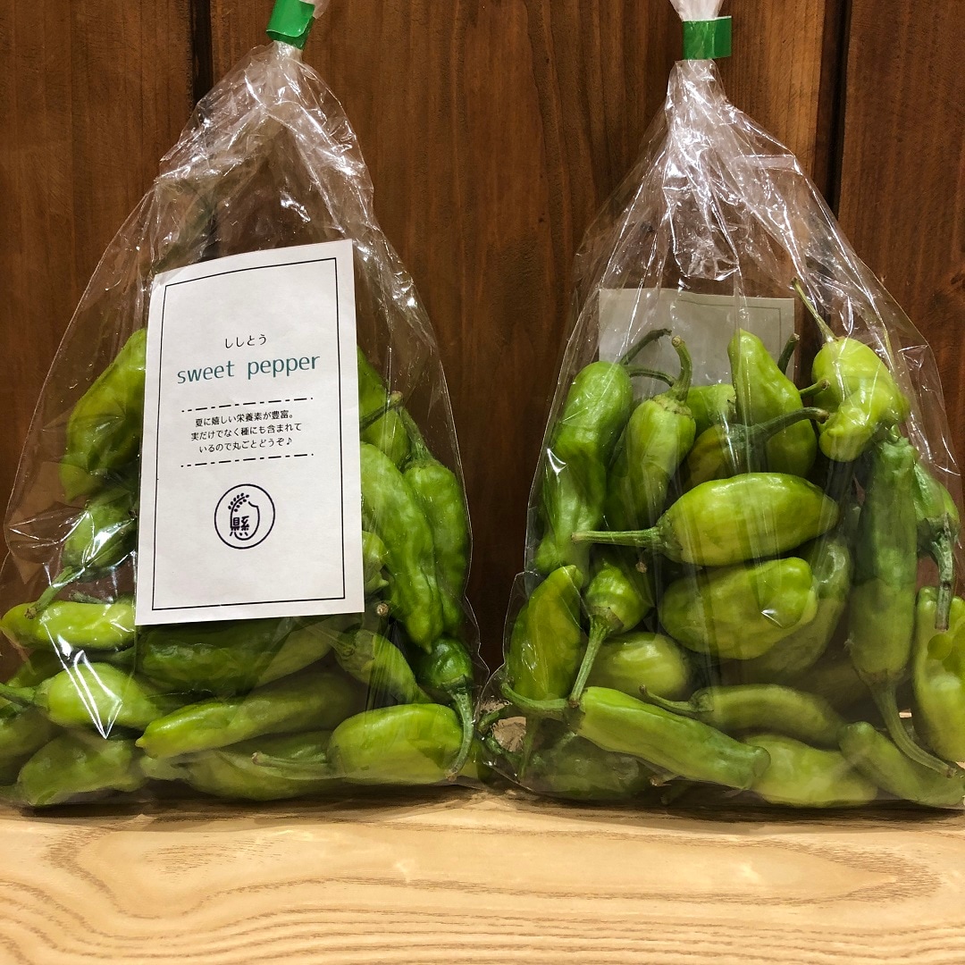 【イオンモール岡山】岡山県産の新鮮夏野菜、本日入荷しました