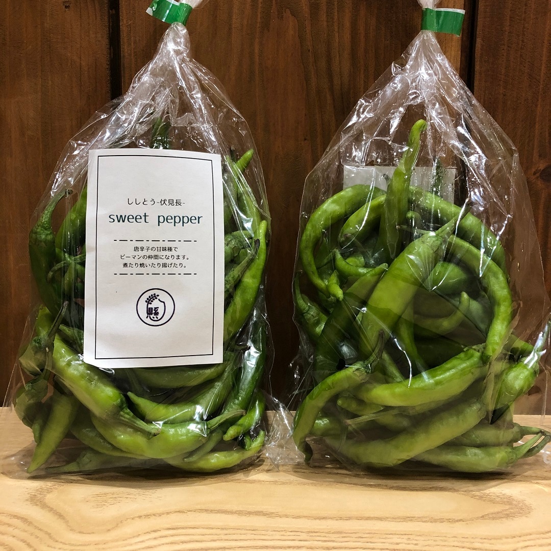 【イオンモール岡山】岡山県産の新鮮夏野菜、本日入荷しました