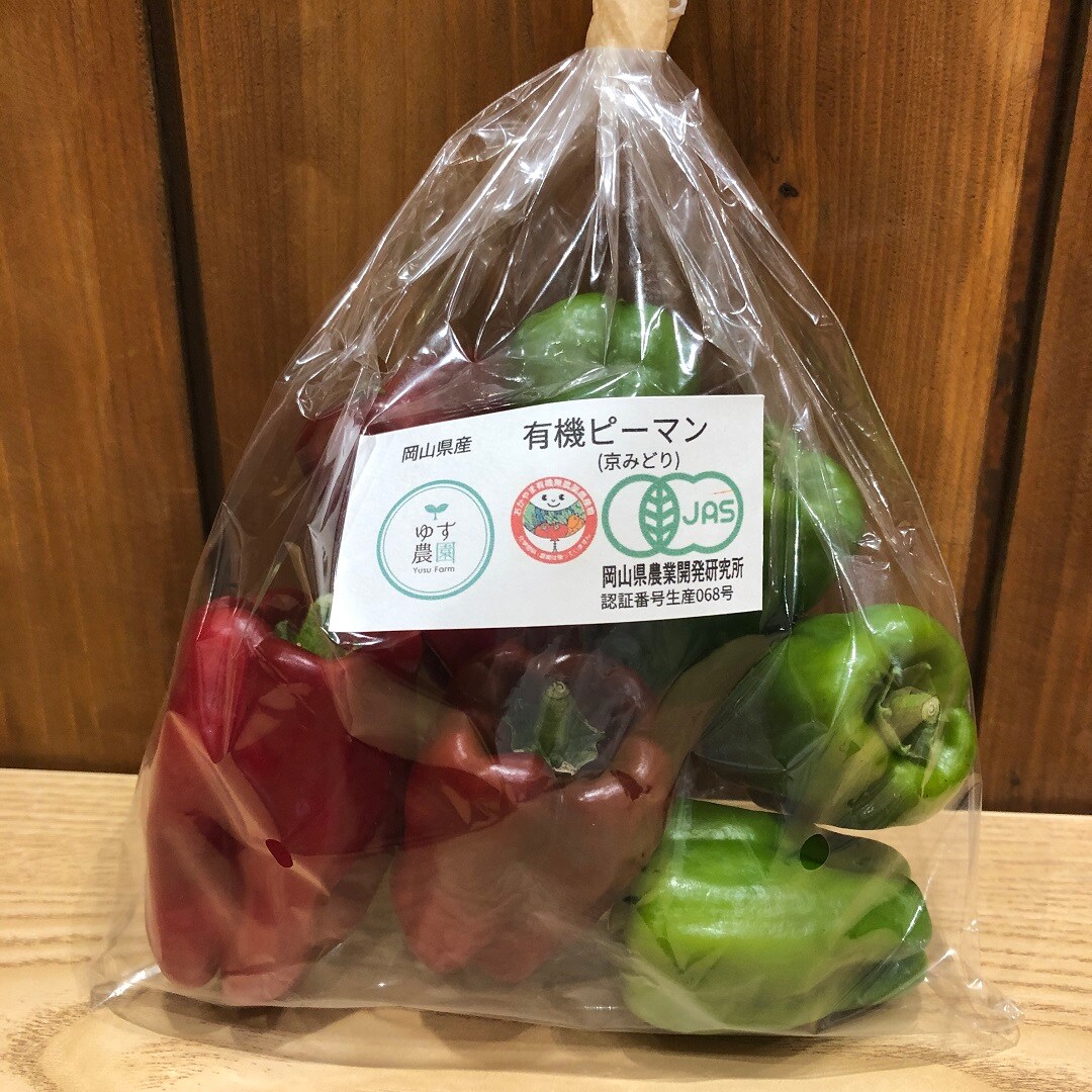 【イオンモール岡山】岡山県産の新鮮夏野菜、本日入荷しました