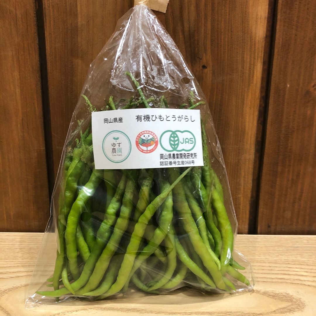 【イオンモール岡山】岡山県産の新鮮夏野菜、本日入荷しました