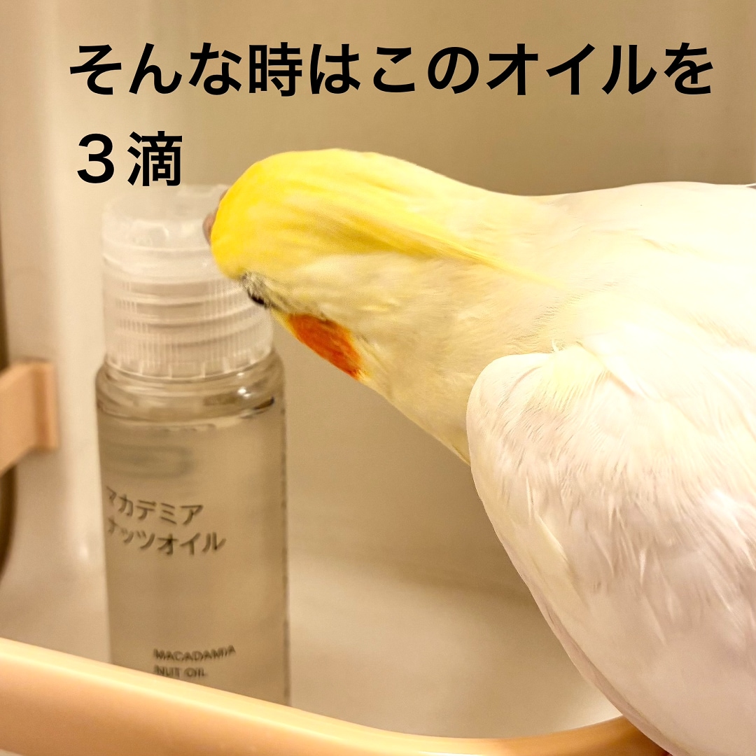 【静岡パルコ】そんな時はこれを３滴というピーちゃん