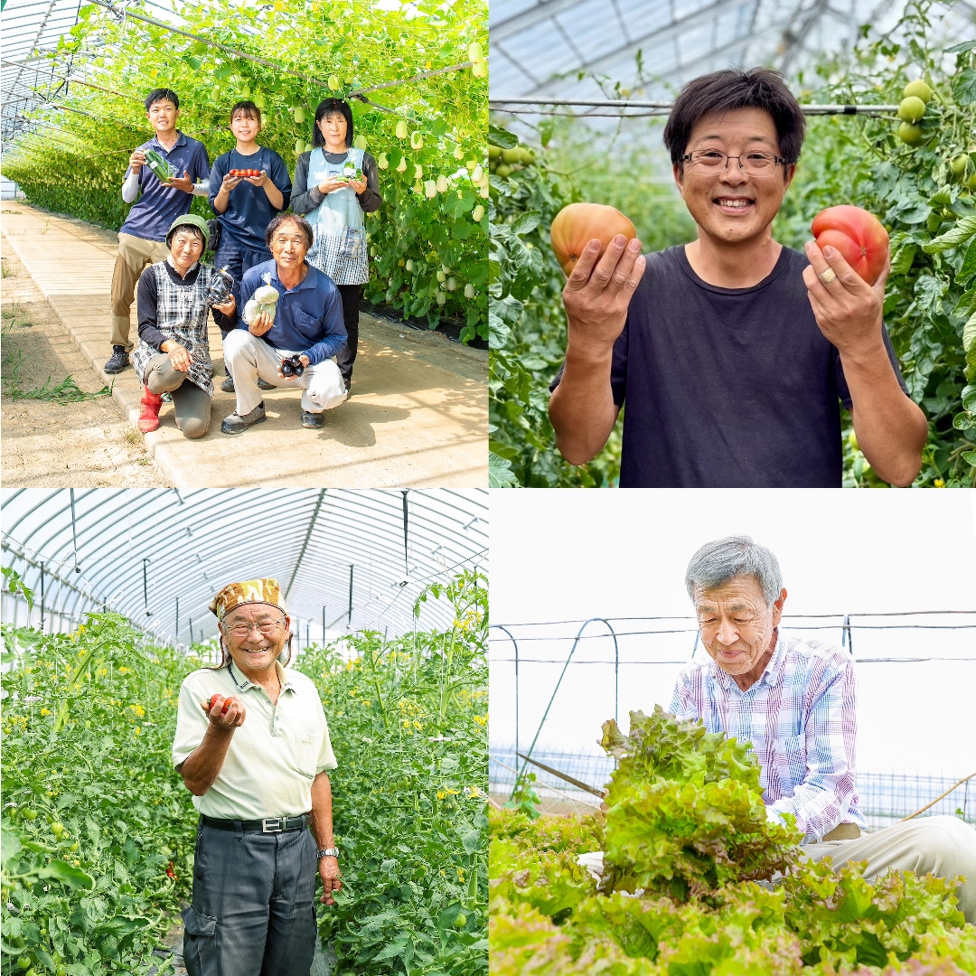 【直江津】7月19日(日)20日(月祝)『地元生産者さんの新鮮野菜と味噌の販売会』開催のお知らせ｜無印良品 直江津 6周年祭_WIUZ37