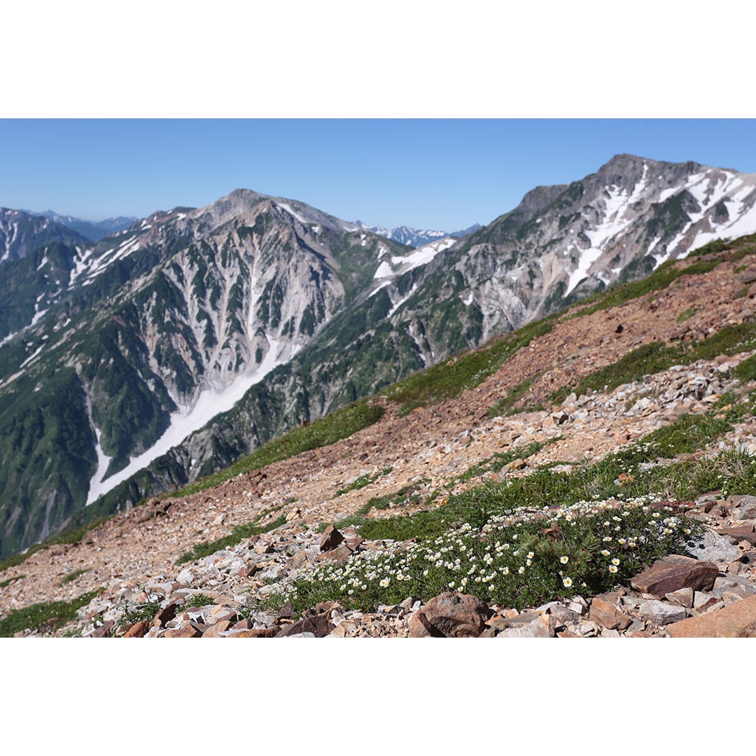 山画像2_0.jpg 
