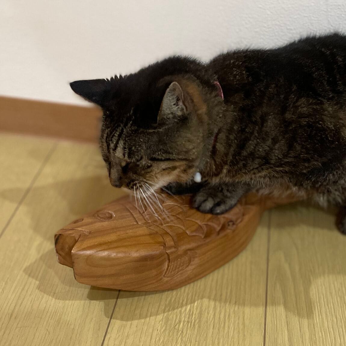 ねこ2