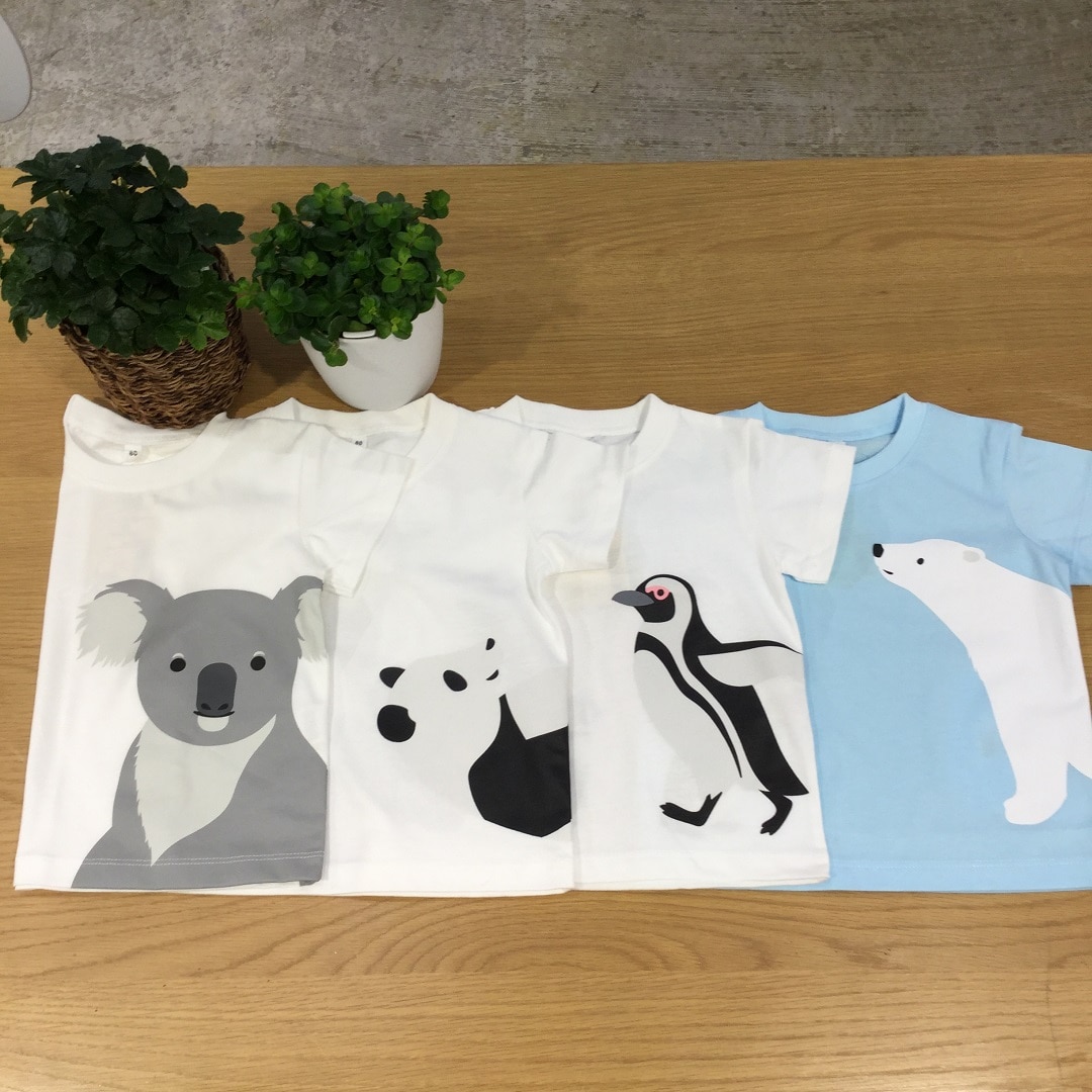 Ｔシャツ