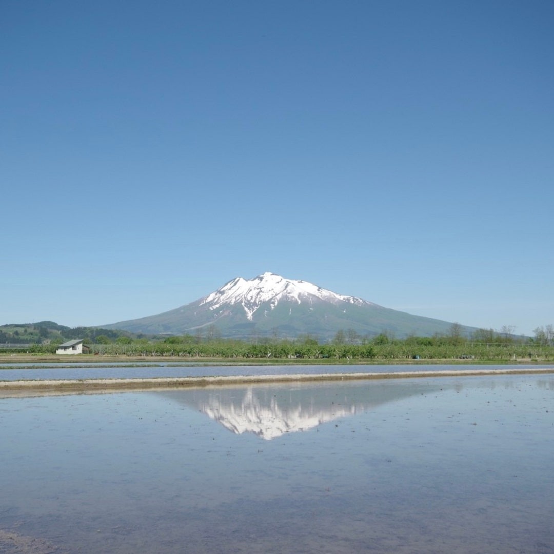 イトーヨーカドー弘前 弘前さんぽ 4 津軽富士岩木山 無印良品