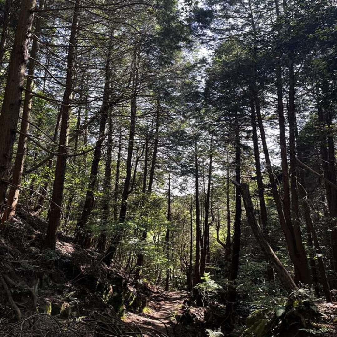 山2