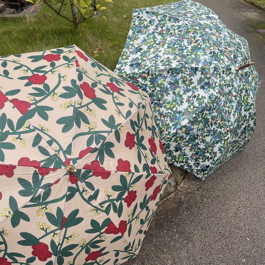 本文画像2：046052_20251112_01_02　イイダ仐店 秋の傘展