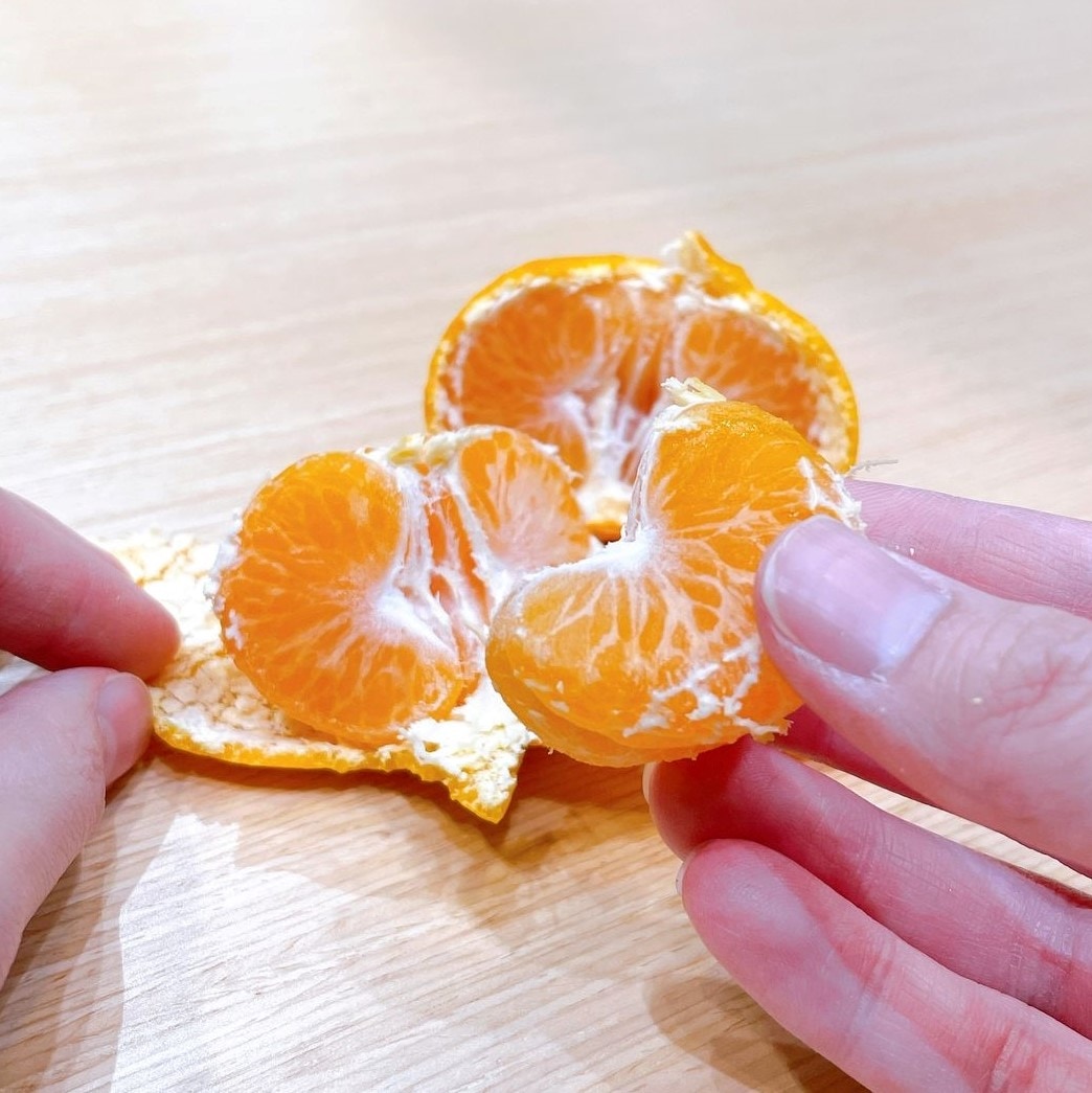 【堺北花田】みんなで学ぼう、みかんの秘密｜食育イベント