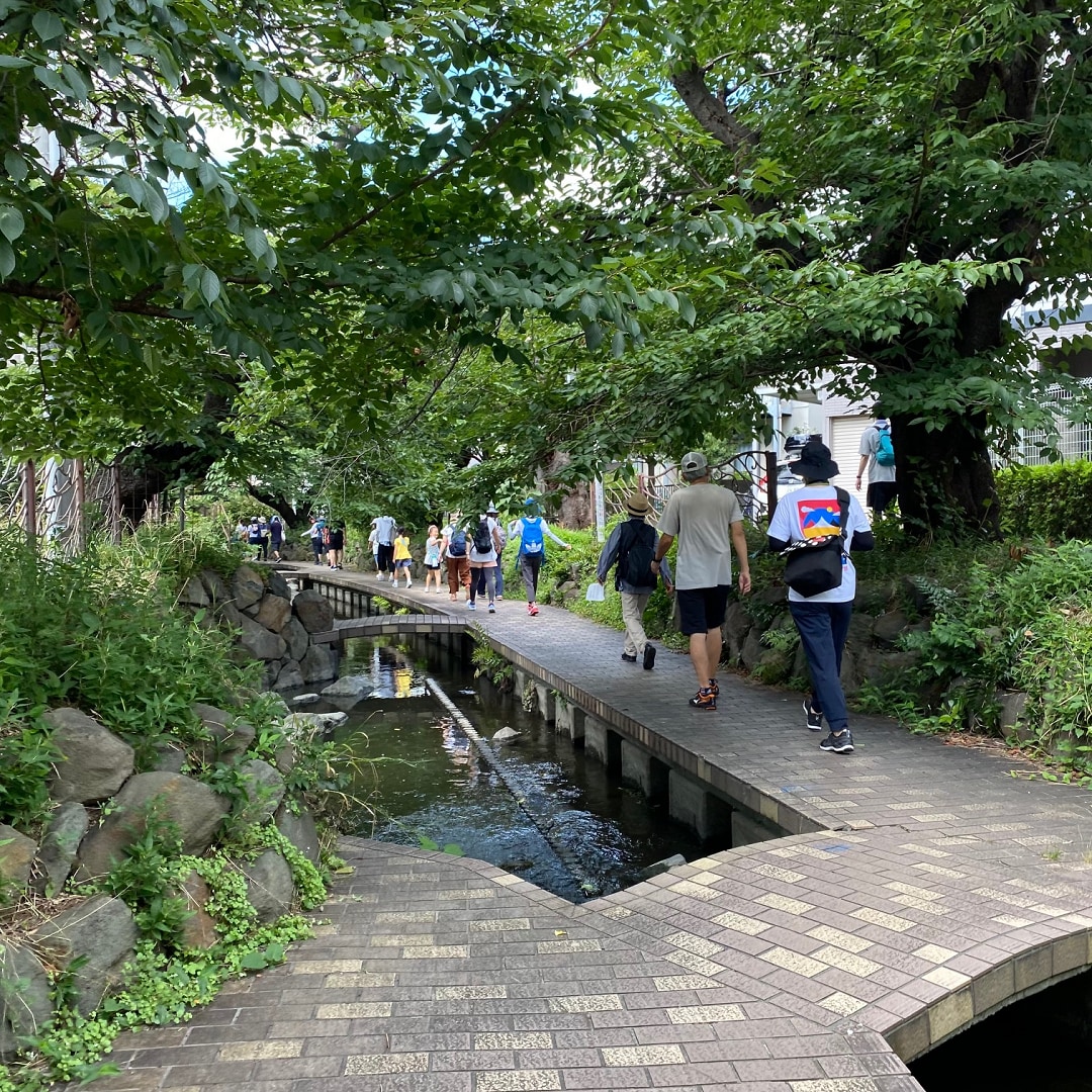 用水路沿いを歩いている写真