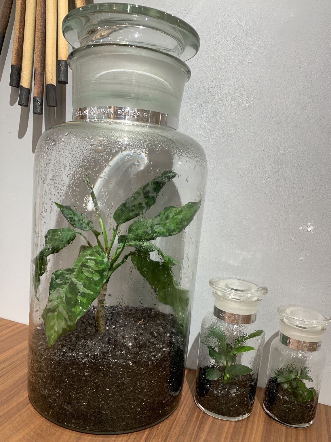 【イデーショップ梅田】