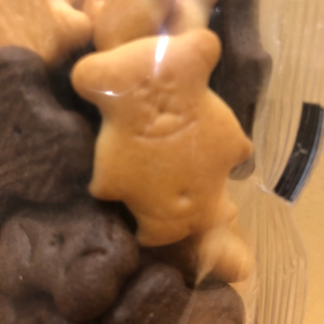 てんさい糖ビスケットのクマの写真