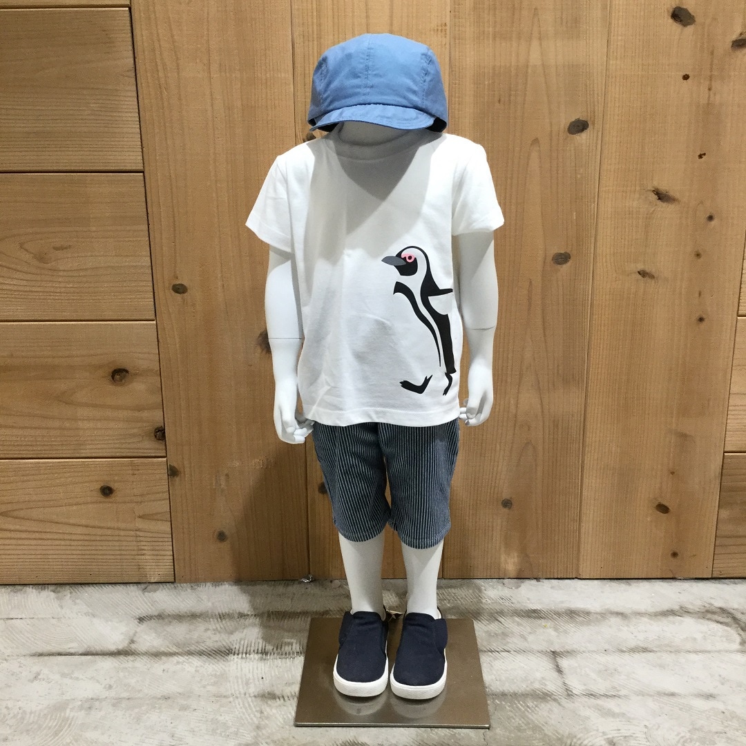 Ｔシャツ