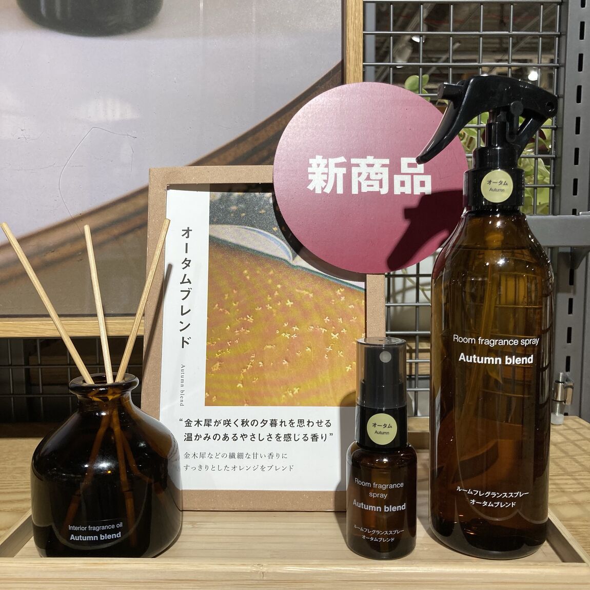 【アルパーク】秋の香りで、暮らしを心地よく。_Eeql2U