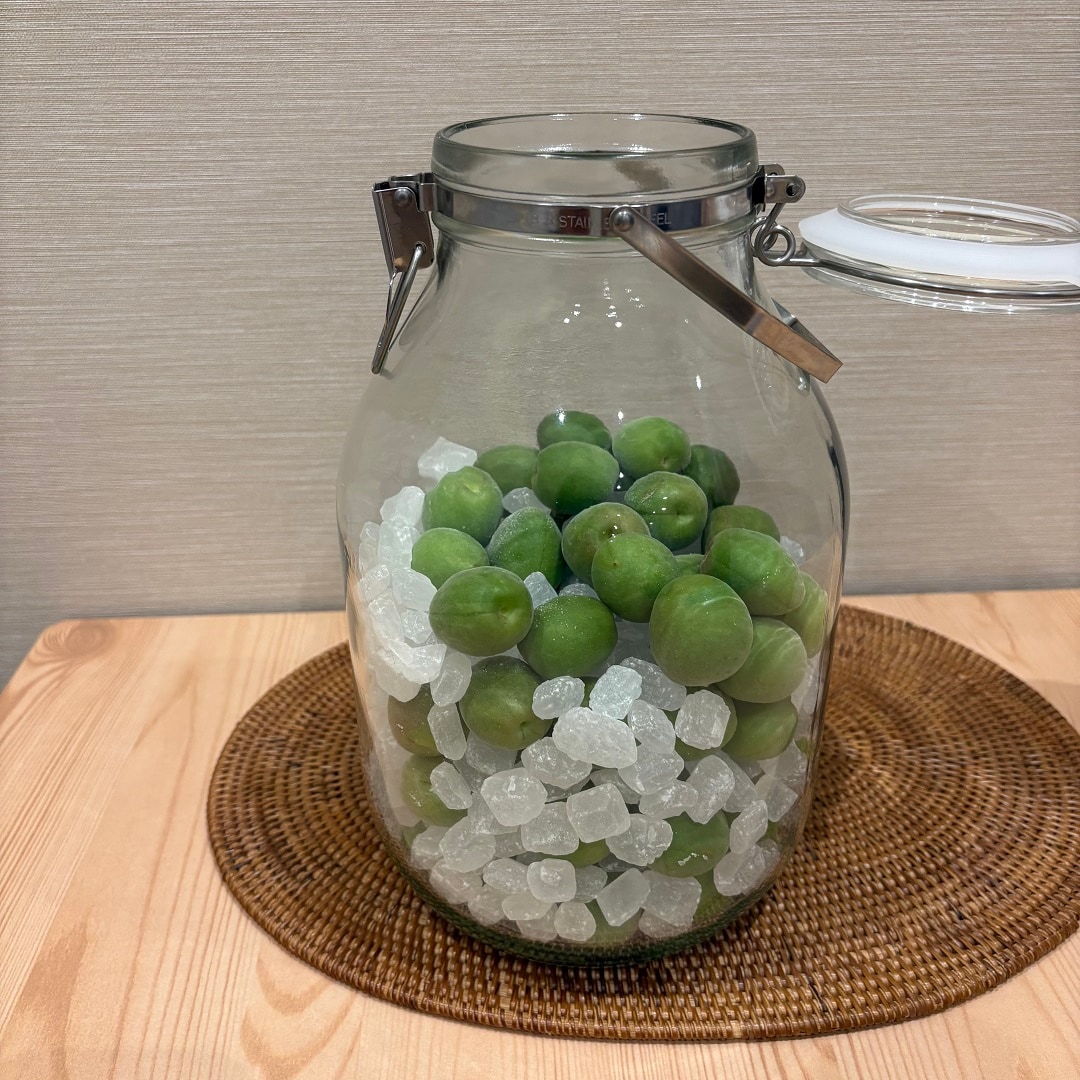 梅画像