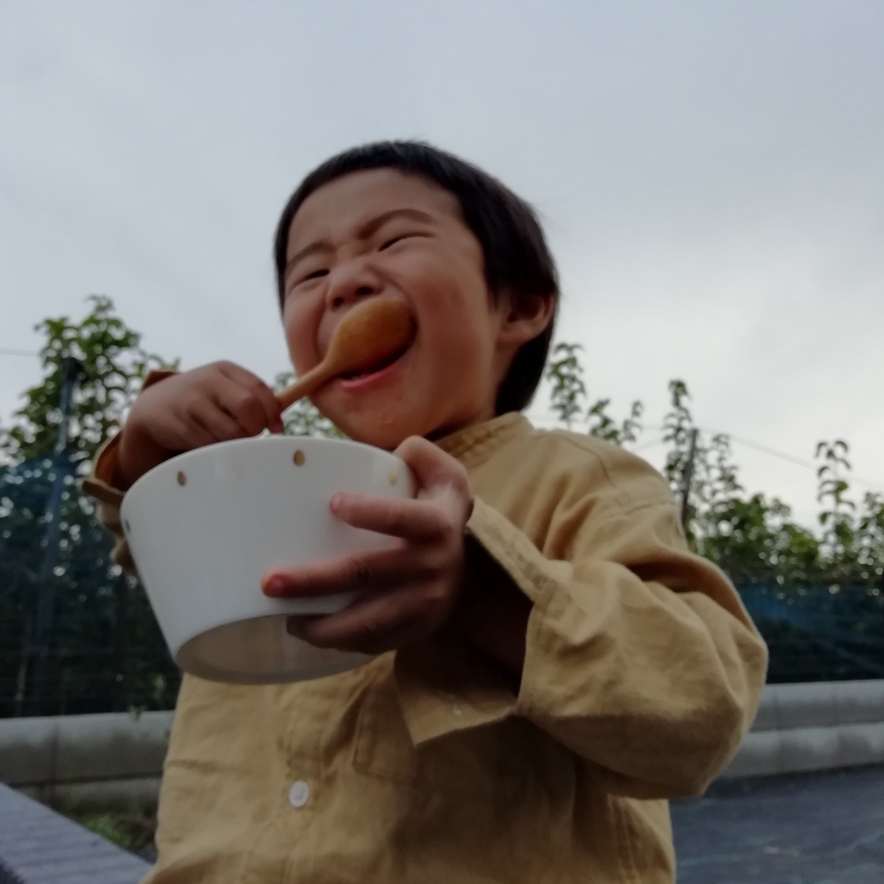 bisuku